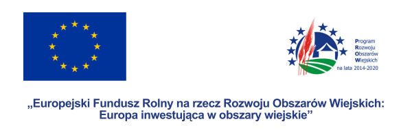 Europejski Fundusz Rolny na rzecz Rozwoju Obszarów-Wiejskich Europa inwestująca w obszary wiejskie